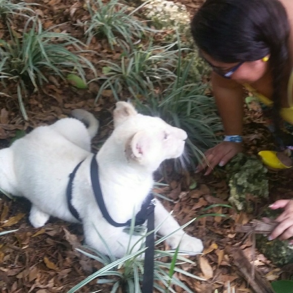 Meet your Posher, Ely - Picture 5 of 9